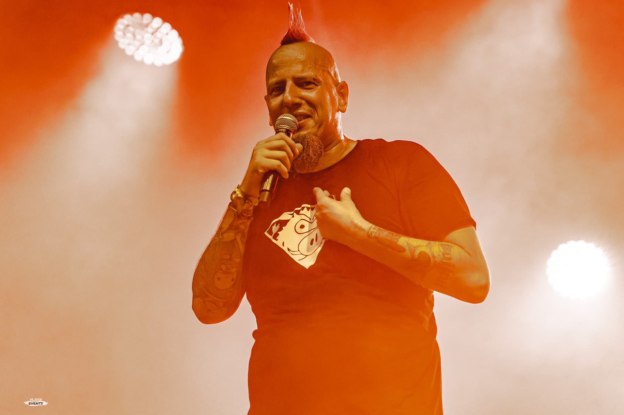 4dziki