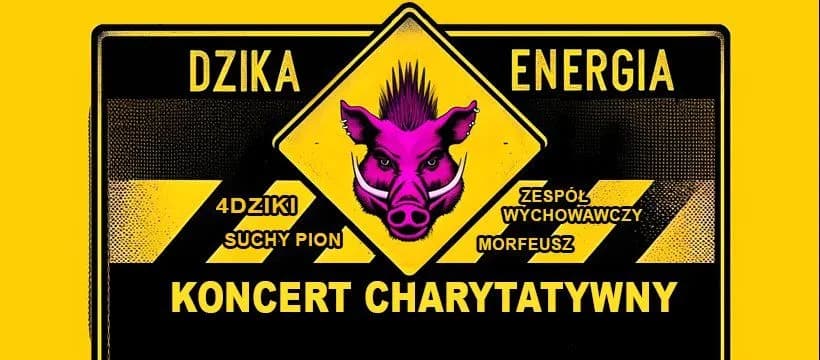 "Dzika Energia" - 4dziki i przyjaciele grają dla Jerzyka