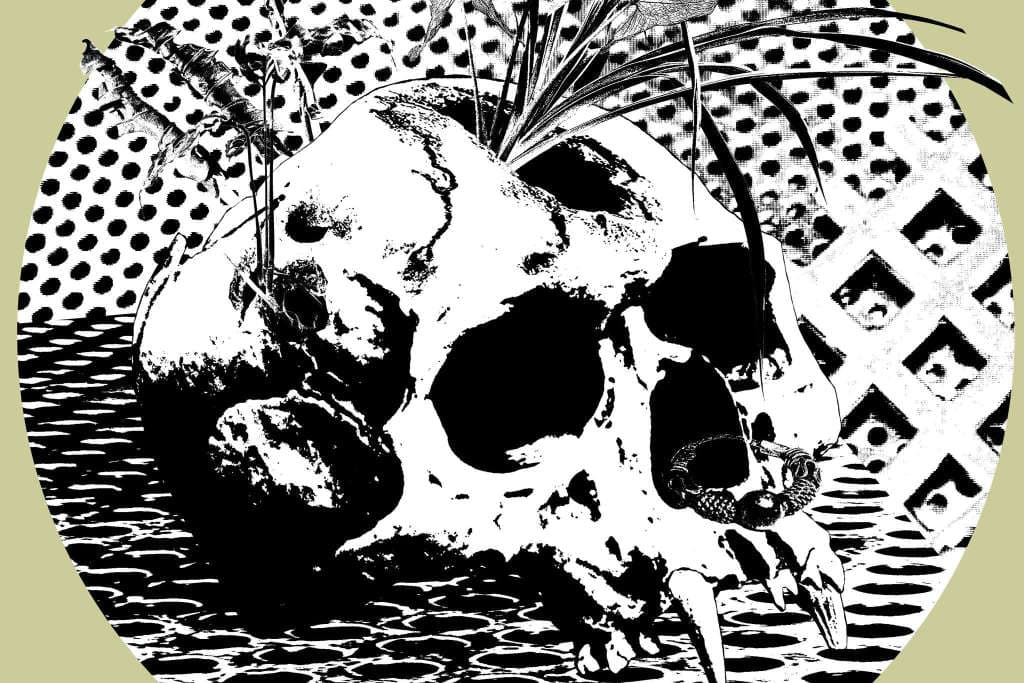 Izerbejdżan Punk Eko Fest 2026