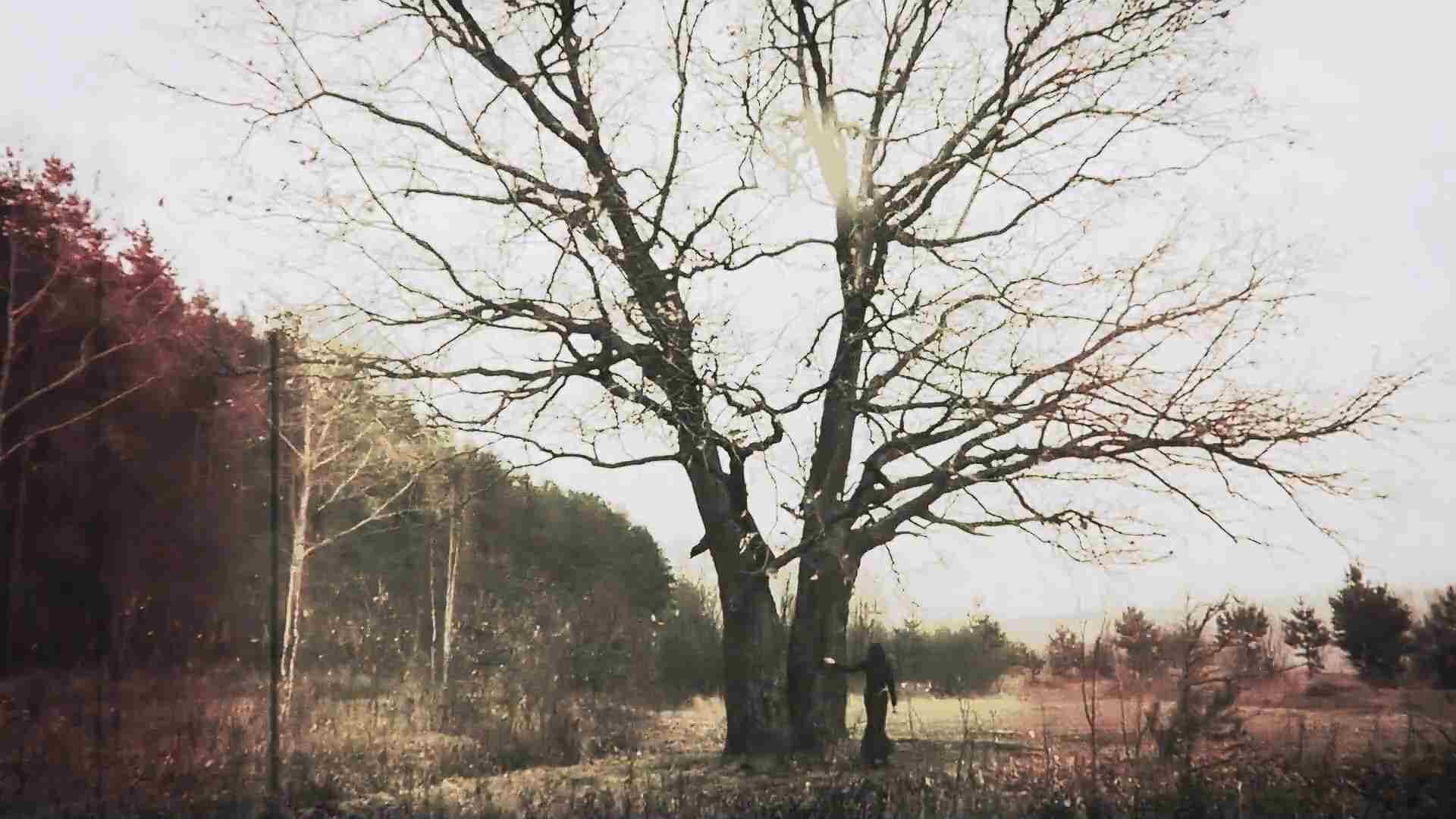 Męczenie Owiec - Październik