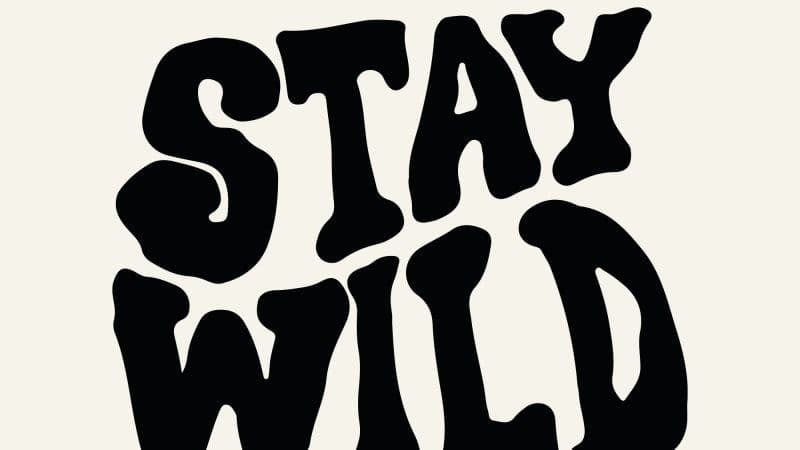 Stay Wild Festival