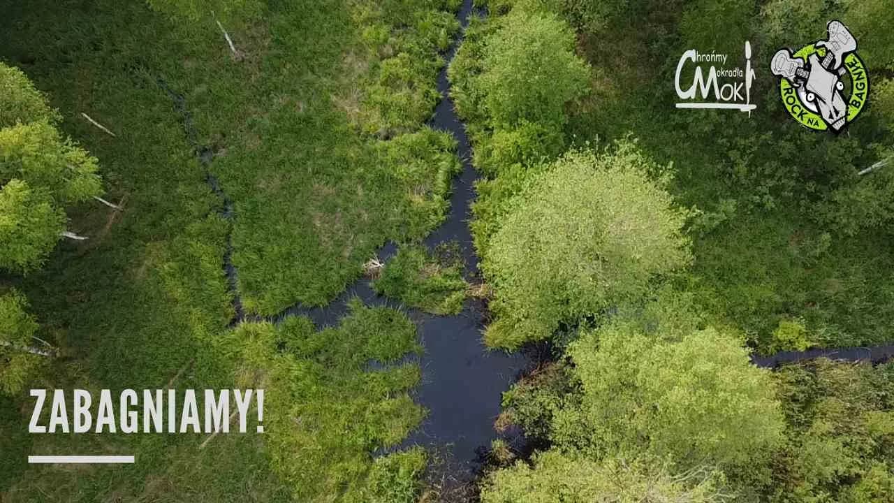 Zabagniamy! Rock na Bagnie i Centrum Ochrony Mokradeł razem