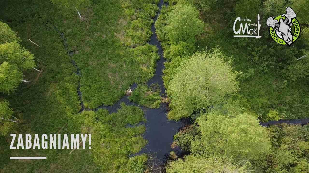 Zabagniamy! Rock na Bagnie oraz Centrum Ochrony Mokradeł łączą siły