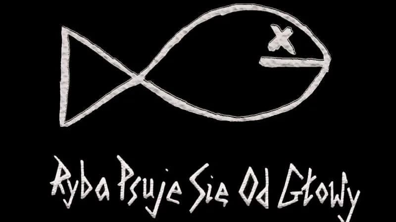 "Ryba psuje się od głowy" - nowy singiel Gorgonzolli